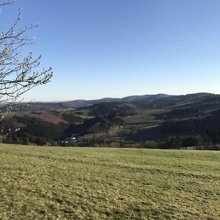Willa Gluehalm Willingen Willingen  Zewnętrze zdjęcie