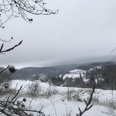Willa Gluehalm Willingen Willingen  Zewnętrze zdjęcie