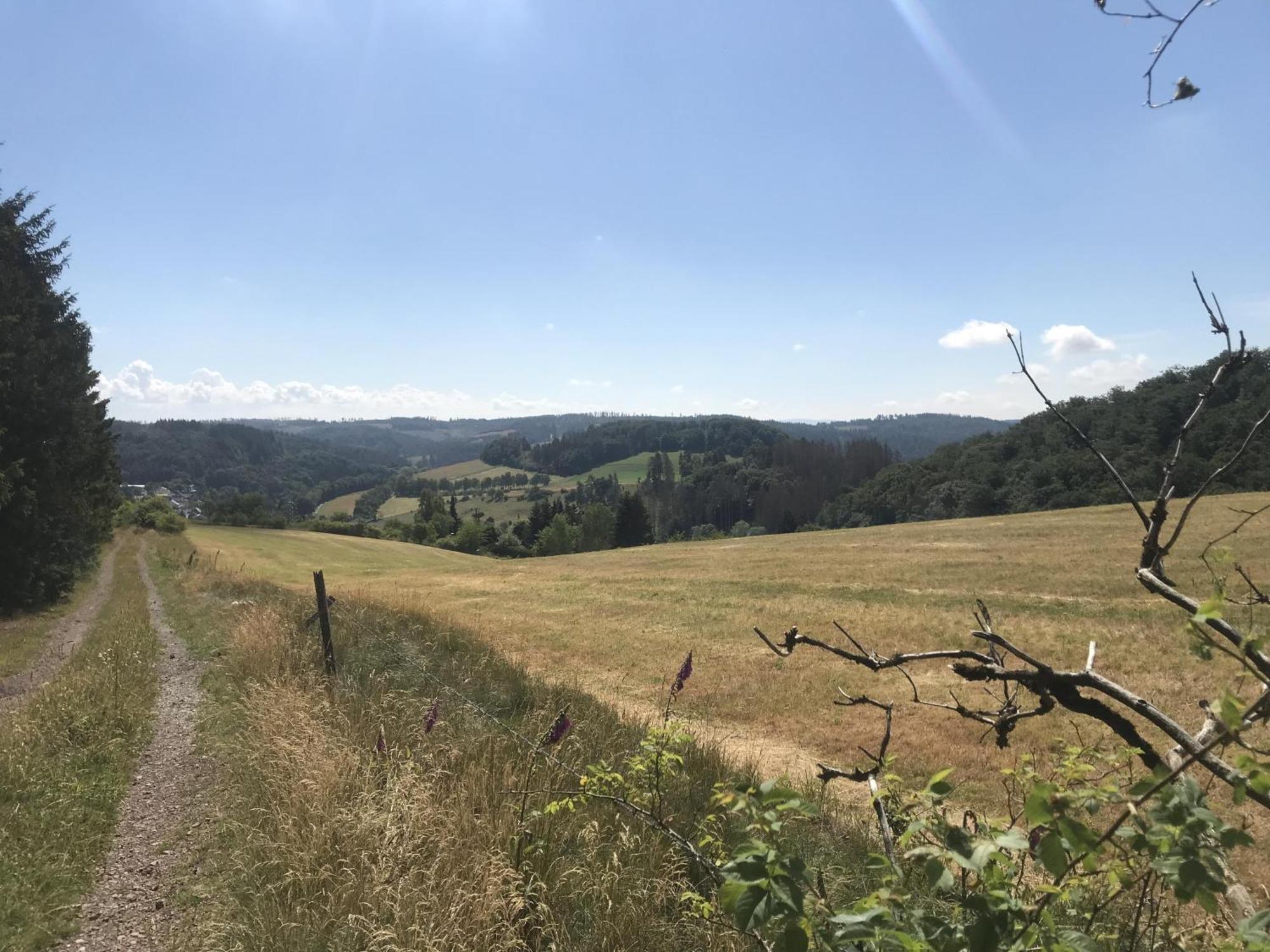 Willa Gluehalm Willingen Willingen  Zewnętrze zdjęcie